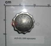 А19.01.100 Крышка маслозаливная (с резиновым кольцом) МТЗ